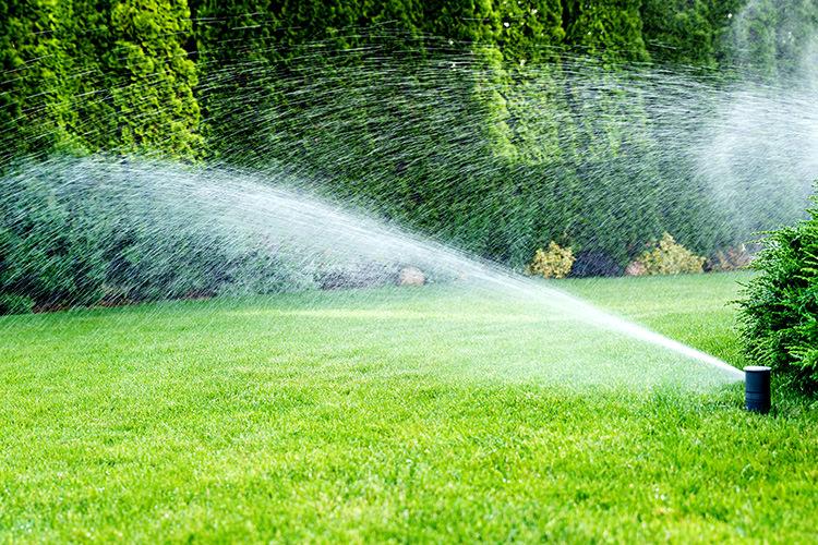 Landscaping and Sprinkler Systems