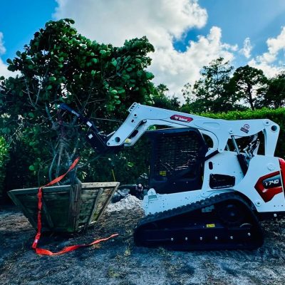 Large Tree planting service and bobcat service