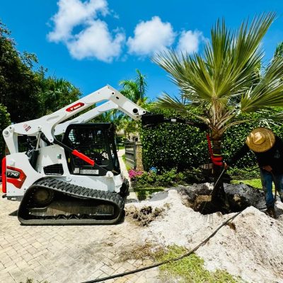 Palm Tree and bobcat service Palm Beach County (1)