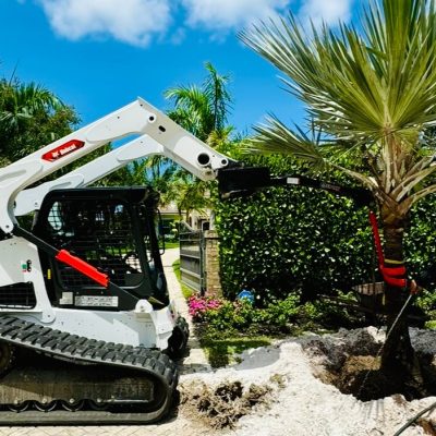 Palm Tree and bobcat service Palm Beach County